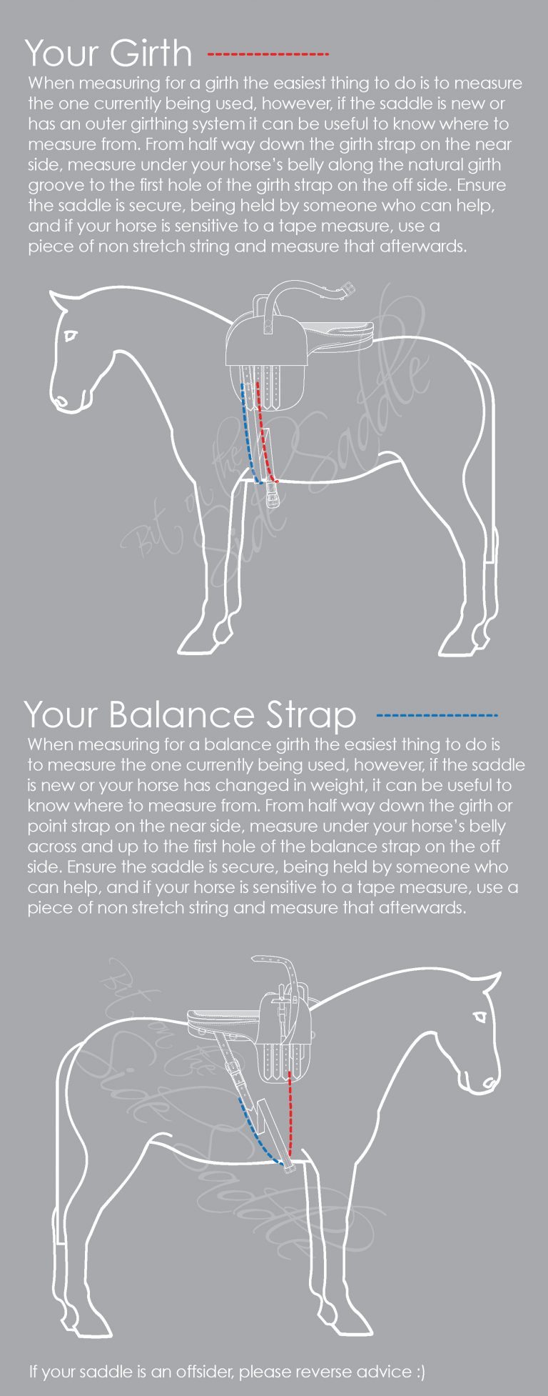 Guides Bit on the Side Saddle